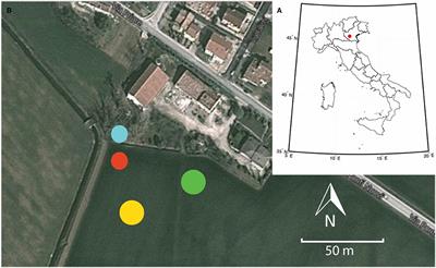 Efficient Irrigation of Maize Through Soil Moisture Monitoring and Modeling